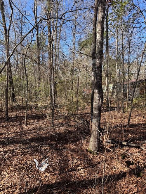 tbd Jaycrest, Livingston, TX, 77351 | Card Image