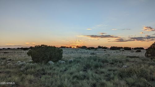 316-202 County Road N6451 --, St Johns, AZ, 85936 | Card Image