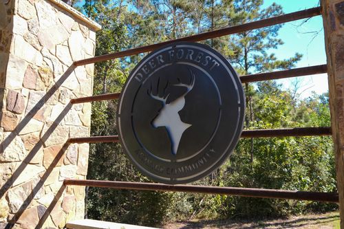 186 Exploration Rd, New Waverly, TX, 77358 | Card Image