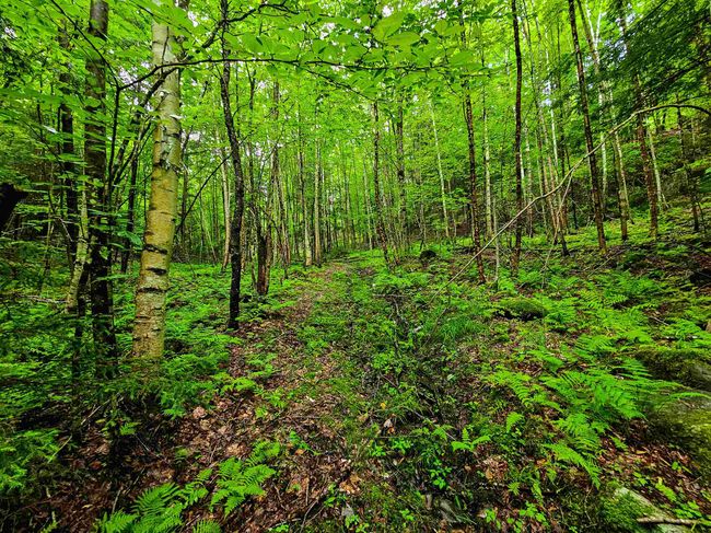 873 Royston Rdg, House other with 2 bedrooms, 0 bathrooms and null parking in Wells River VT | Image 24