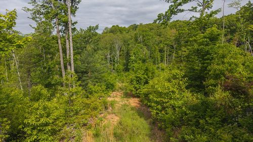 Lot 2 Shortcut Dr, Woolwine, VA, 24185 | Card Image