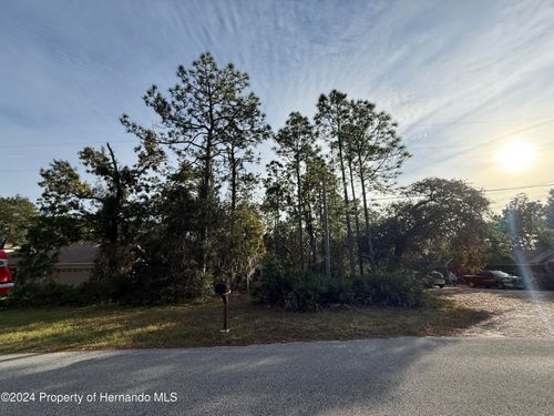 0 Long Lake Avenue, Weeki Wachee, FL, 34613 | Card Image