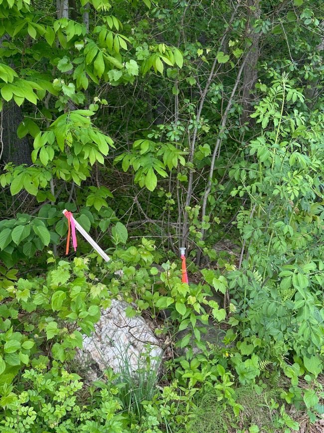 LOT-2 - 123 Rte 5, Home with 0 bedrooms, 0 bathrooms and null parking in Westminster VT | Image 7