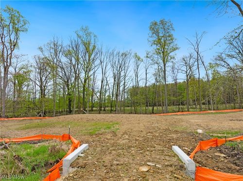 9528 River Birch Run, Brecksville, OH, 44141 | Card Image