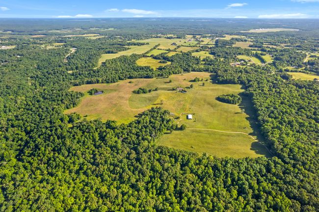 0 Happy Hills Acre Rd, Home with 0 bedrooms, 0 bathrooms and null parking in Woodlawn TN | Image 11