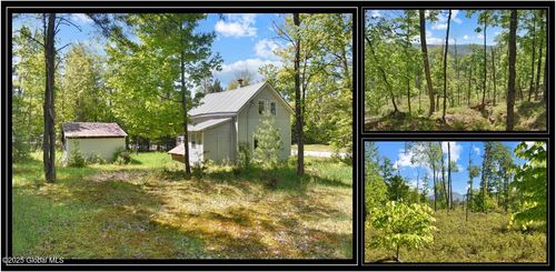 364 Pease Hill Rd, Brant Lake, NY, 12815-2711 | Card Image