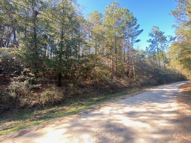 Land in DEFUNIAK SPRINGS 3