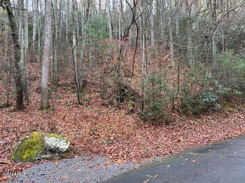 Lot 1 Big Buck Trail, Townsend, TN, 37882 | Card Image