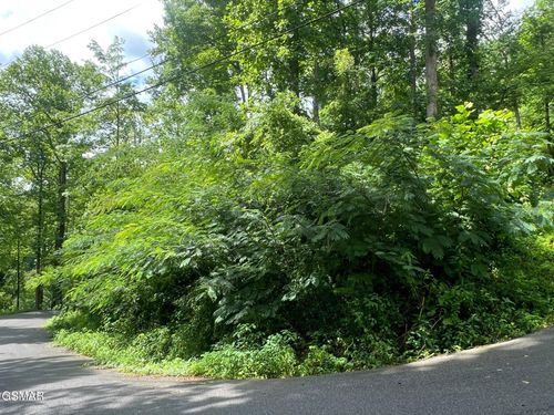 752 Loop Road, Gatlinburg, TN, 37738 | Card Image