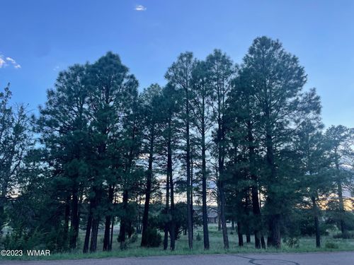 2215 Country Club Dr, Overgaard, AZ, 85933-5114 | Card Image