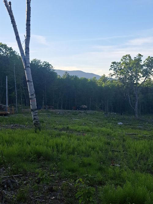 140 Great Road, Jaffrey, NH, 03452 | Card Image