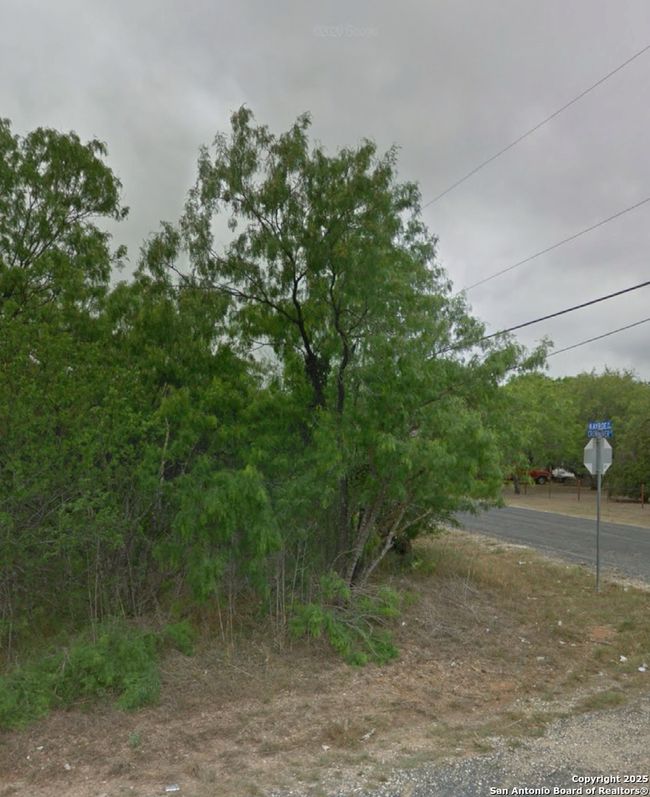 1303 Kayroe Rd, Home with 0 bedrooms, 0 bathrooms and null parking in Adkins TX | Image 4