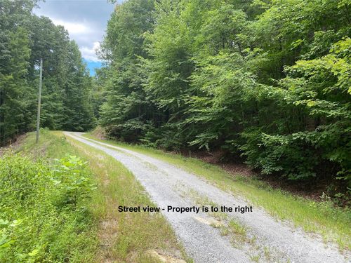 000 Steven St, Lake Lure, NC, 28746 | Card Image