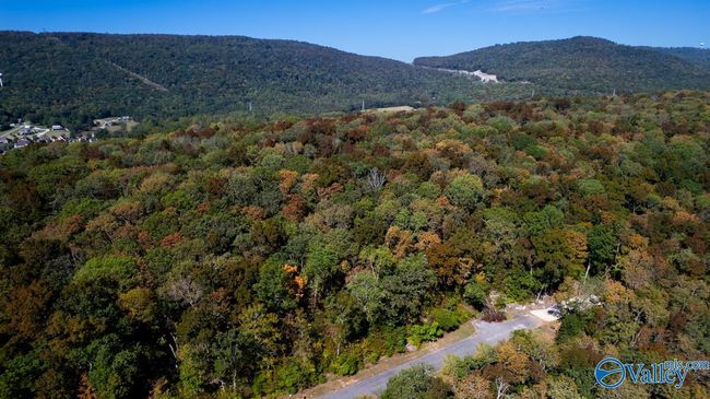 7010 Ridge Crest Rd, Home with 0 bedrooms, 0 bathrooms and null parking in Owens Cross Roads AL | Image 7