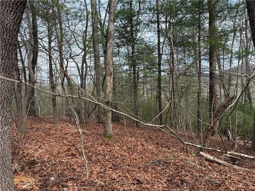 Lot 13 Frances Dr, Ellijay, GA, 30536-7240 | Card Image