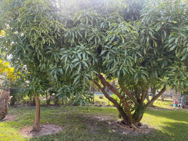 1072 Sw Castaneda Ln, House other with 3 bedrooms, 2 bathrooms and null parking in Port St. Lucie FL | Image 17
