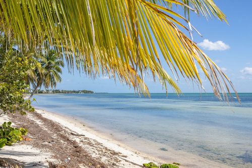 74049 Overseas Hwy, Islamorada, FL, 33036-4203 | Card Image