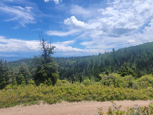 78-1920 Elk Rd, Coalville, UT, 84017-6415 | Card Image