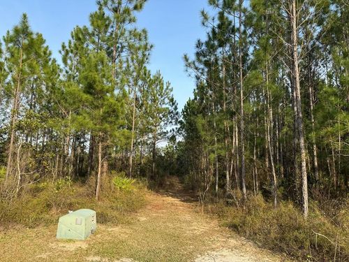 36+/- ac Henry Walcott Rd Nw, Ludowici, GA, 31316 | Card Image