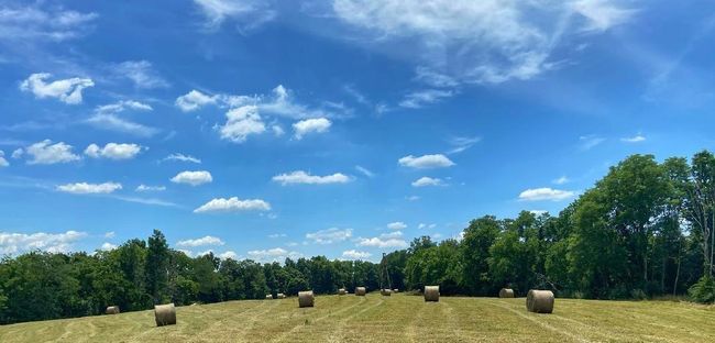 8266 State Highway 262, Home with 0 bedrooms, 0 bathrooms and null parking in Dillsboro IN | Image 15
