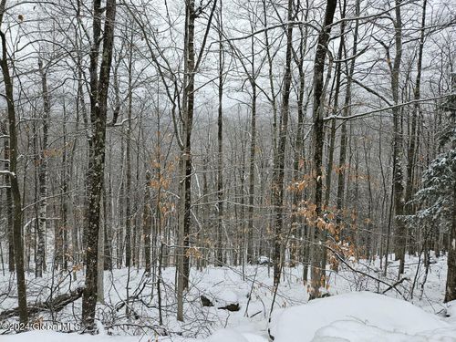 L12 14th Rd, Minerva, NY, 12851 | Card Image