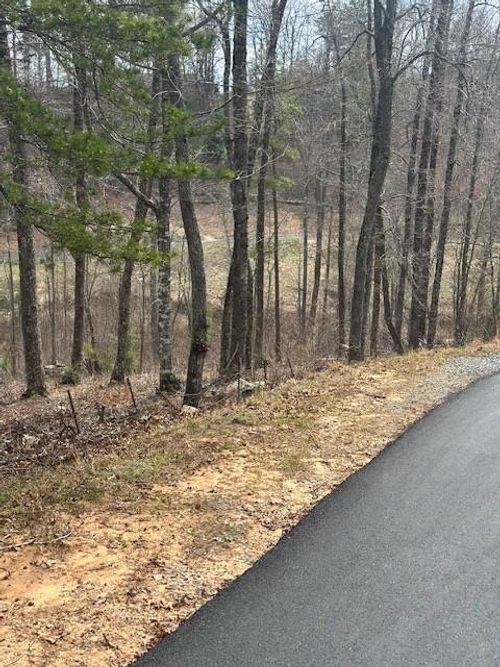 Lot 195 Trails End Way, Mineral Bluff, GA, 30559 | Card Image