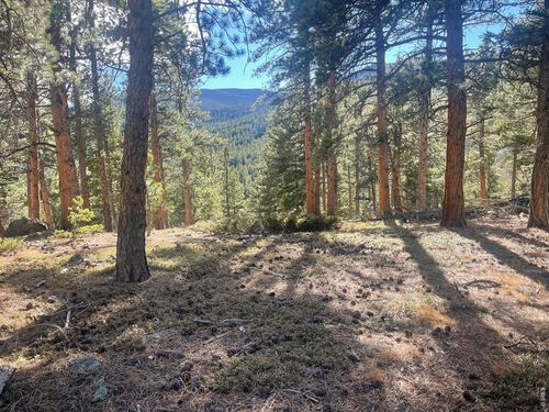 399 N Skinner Rd, Allenspark, CO, 80510 | Card Image