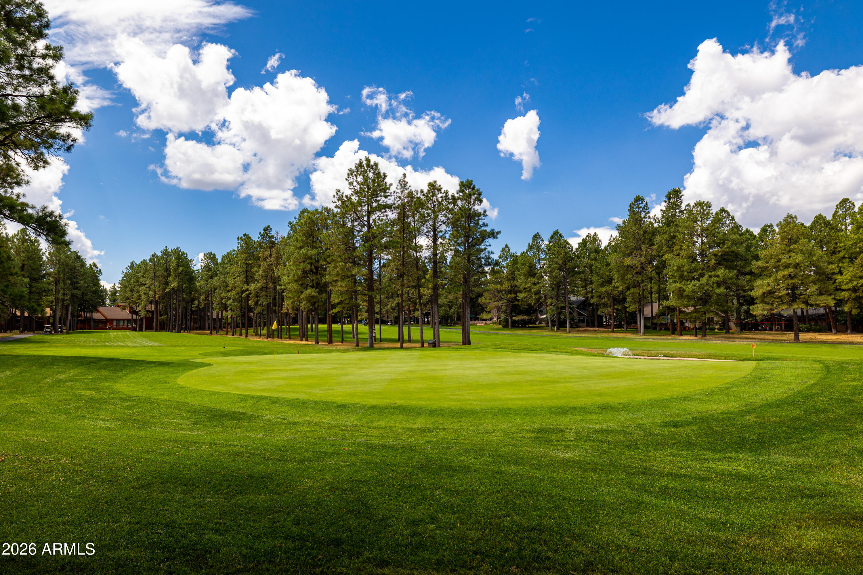 Residential in Flagstaff 5