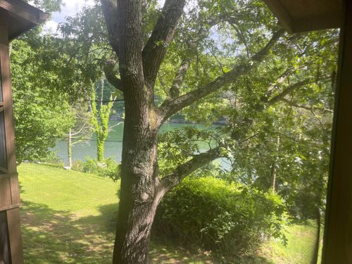 3-1013 Woodson Bend Resort, Bronston, KY, 42518 | Card Image