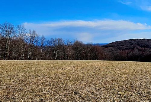 0 Stump Pond Road, Delaware, NY, 12724 | Card Image