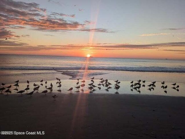 Beautiful Cocoa Beach | Image 33