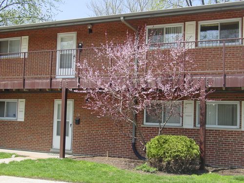 apt-2b-1810 W Hatherleigh Ct, Mount Prospect, IL, 60056-4730 | Card Image