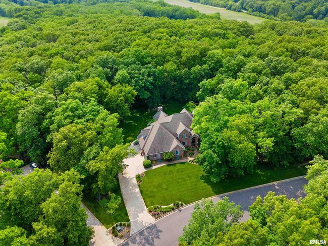 11518 N Nettle Creek Dr, House other with 4 bedrooms, 6 bathrooms and null parking in Dunlap IL | Image 58