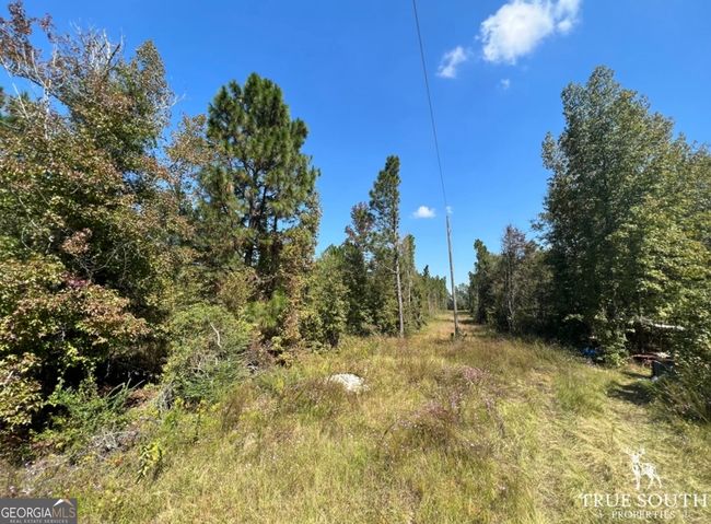 0 John S Horton Rd, Home with 0 bedrooms, 0 bathrooms and null parking in Adrian GA | Image 18