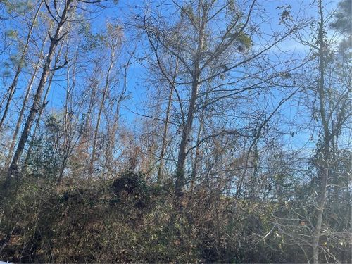 0 Windy Oaks Ct, Grand Bay, AL, 36541 | Card Image