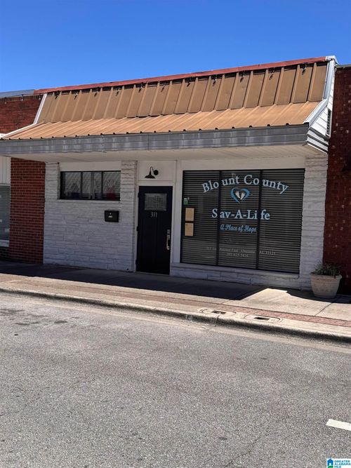 311 E 1st Avenue, Oneonta, AL, 35121 | Card Image