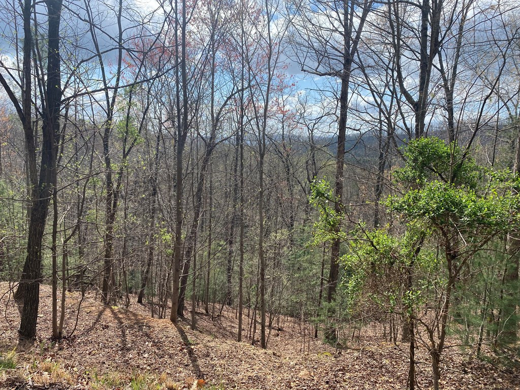 Land in Murphy 4
