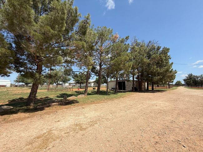 447 W Fm 1606, House other with 3 bedrooms, 2 bathrooms and 2 parking in Ira TX | Image 36
