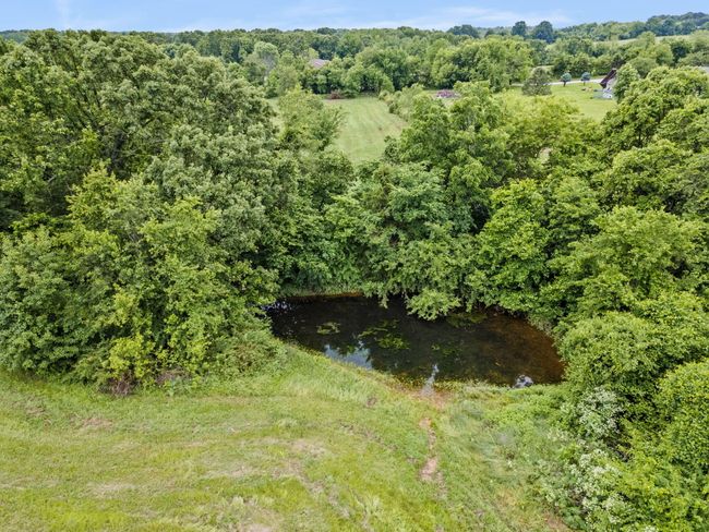 7-web-or-mls-DJI_0095 | Image 5
