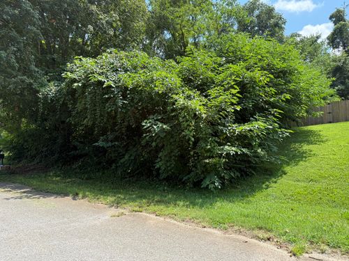 TBD Rambling Rd, Morristown, TN, 37814 | Card Image