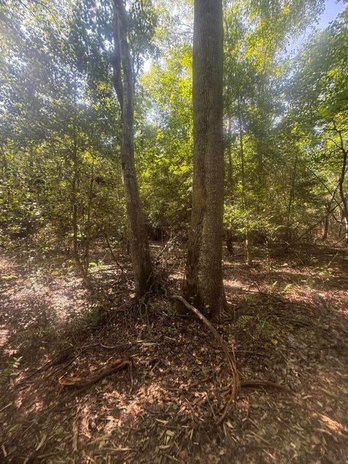 hhf6-Hhf 6 Hickory Head Rd, Westville, SC, 29175-9500 | Card Image