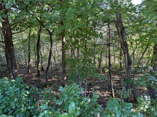 6 Puma Ln, Holiday Island, AR, 72631-4825 | Card Image