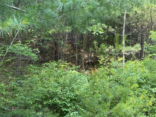 Lot 068011 Shore Rd, Bremen, ME, 04551 | Card Image