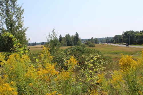 1297 Us Highway 1, Littleton, ME, 04730 | Card Image
