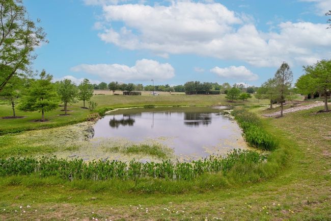 546 Pepperbark Loop, House other with 3 bedrooms, 2 bathrooms and null parking in Buda TX | Image 31