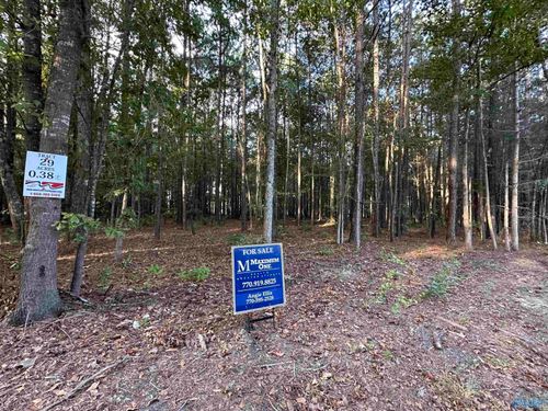lot-29-24 County Road 1011, Centre, AL, 35960 | Card Image