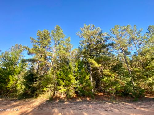 Lot 9 Adams Dr, Alford, FL, 32420 | Card Image