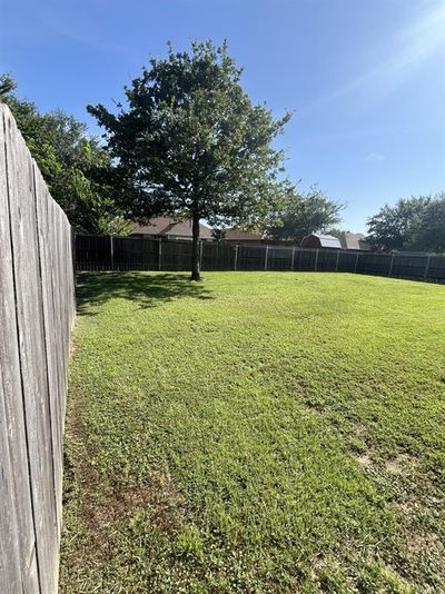 View of backyard | Image 3