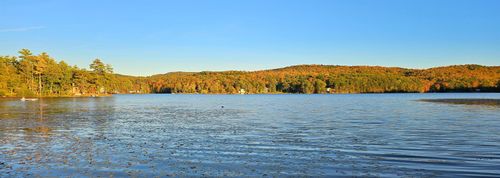 96 Lhcs Road, Hubbardton, VT, 05735 | Card Image