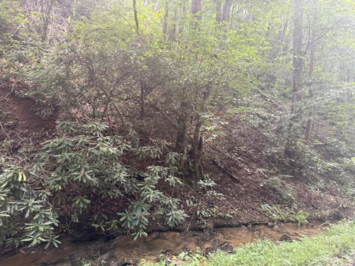 4264 Blalock Hollow Rd, Pigeon Forge, TN, 37876 | Card Image